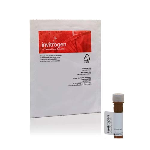 15763. FAST DII OIL DII9 12-C18(3) CLO4 (1,1-DILINOLEYL-3,3,3,3-TETRAMETHYLINDOCARBOCYANINE PERCHLORATE) 5MG - INVITROGEN
