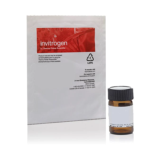 53486. BODIPY 493/503 (4,4-DIFLUORO-1,3,5,7,8-PENTAMETHYL-4-BORA-3A,4A-DIAZA-S-INDACENE), 10MG, - INVITROGEN