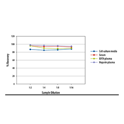 18208. HUMAN CHEMERIN QUANTIKINE ELISA KIT - R&D SYSTEMS