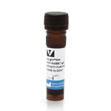 5235. GOAT ANTI-RABBIT IGG ANTIBODY (H+L) DYLIGHT 594, 1.5MG - VECTOR