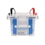12659.MODULO ELECTROBLOTTING P/UTILIZAR CON SISTEMA MINI GEL VERTICAL, INCLUYE 4 CASSETTES Y 8 ALMOHADILLAS - LABNET