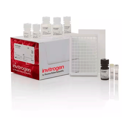 26903. KIT DE DETECTION COLORIMETRICA DE GLUTATION 4 X 96 TESTS INVITROGEN