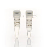 4572. EXONUCLEASA I 20U/UL 4000U - THERMO SCIENTIFIC