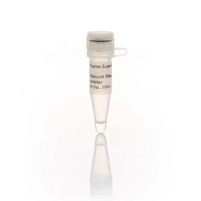 11310. INHIBIDOR DE RNASA RIBOLOCK (40U/UL) 2500U - THERMO SCIENTIFIC