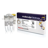 5587. KPNI (10 U/UL), 4000U, - THERMO SCIENTIFIC