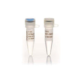 53739. MEZCLA MAESTRA DE PCR ALTA FIDELIDAD PHUSION C/BUFFER HF 500 REACCIONES - INVITROGEN