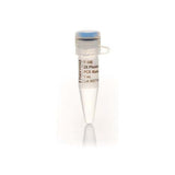 20960. MEZCLA MAESTRA DE PCR DE ALTA FIDELIDAD PHUSION FLASH 100 REACCIONES - THERMO SCIENTIFIC