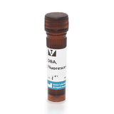 5252. DOLICHOS BIFLORUS AGGLUTININ (DBA) FLUORESCEIN 5MG - VECTOR