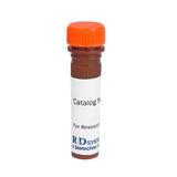 26594. HUMAN BPI ALEXA FLUOR 488-CONJUGATED ANTIBODY 100UG R&D SYSTEMS