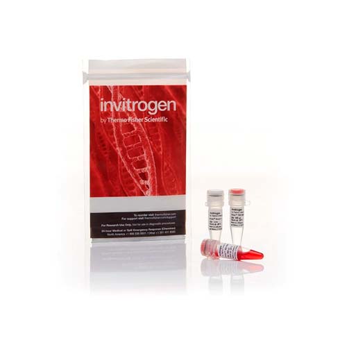 12140. ANZA 44 ALUI 800 UNITS - INVITROGEN