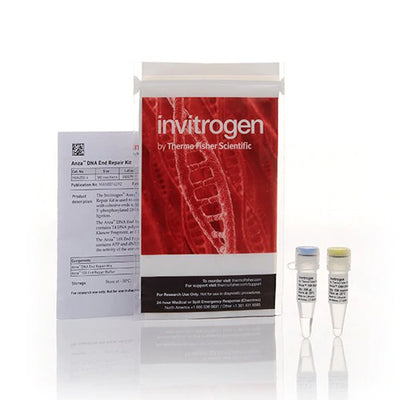 53548. ANZA DNA END REPAIR KIT 20 REACCIONES - INVITROGEN