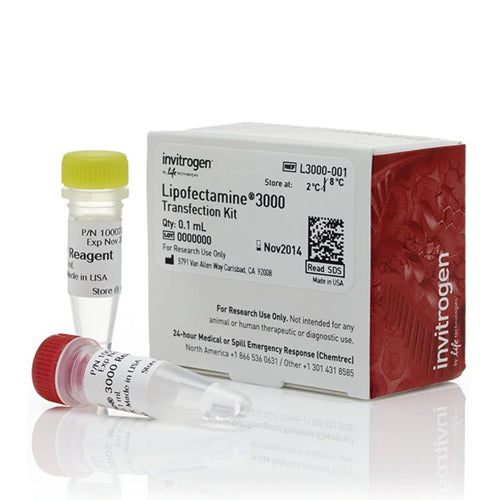 53545. REACTIVO PARA TRANSFECCION LIPOFECTAMINE 3000 0.75ML - INVITROGEN