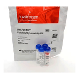 26905. KIT DE VIABILIDAD/CITOTOXIDAD LIVE/DEAD P/CELULAS DE MAMIFEROS INVITROGEN