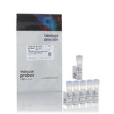 52845. KIT DE TINCION DE CELULAS MUERTAS VIOLETA FIJABLE LIVE/DEAD P/EXCITACION 405NM 200 ENSAYOS - MOLECULAR PROBES