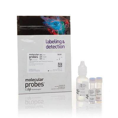 52842. KIT DE VIABILIDAD BACTERIANA LIVE/DEAD BACLIGHT P/MICROSCOPIA Y ENSAYOS CUANTITATIVOS 60 PRUEBAS - MOLECULAR PROBES