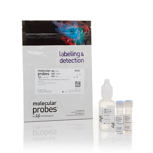 52842. KIT DE VIABILIDAD BACTERIANA LIVE/DEAD BACLIGHT P/MICROSCOPIA Y ENSAYOS CUANTITATIVOS 60 PRUEBAS - MOLECULAR PROBES