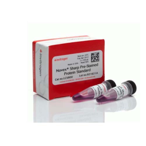 20914. MARCADORES DE PESO MOLECULAR DE PROTEINAS PRETEÑIDOS NOVEX 2 X 250UL - INVITROGEN