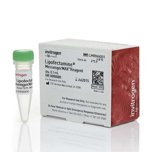53544. LIPOFECTAMINE MESSENGERMAX TRANSFECTION REAGENT 0.1ML - INVITROGEN