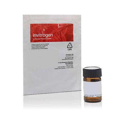 53500. MTT (BROMURO DE 3-(4,5-DIMETILTIAZOL-2-IL)-2,5-DIFENILTETRAZOLIO) 1GR - INVITROGEN