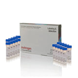 52846. MITO TRACKER RED CMXROS SPECIAL PACKAGING 20X50UG - MOLECULAR PROBES