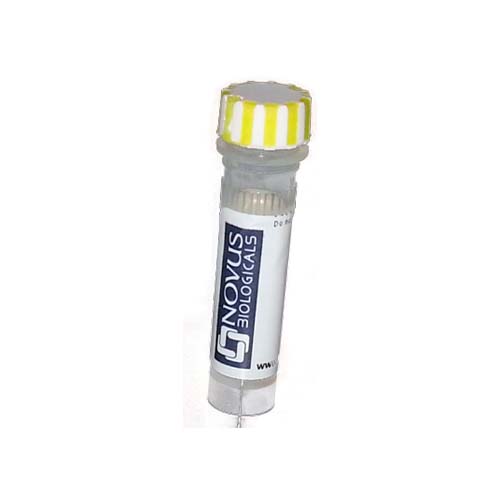 21700. MOUSE MONOCLONAL CANINE DISTEMPER VIRUS ANTIBODY (DV2-12) (ALEXA FLUOR 488) 0.125ML - NOVUS BIOLOGICALS