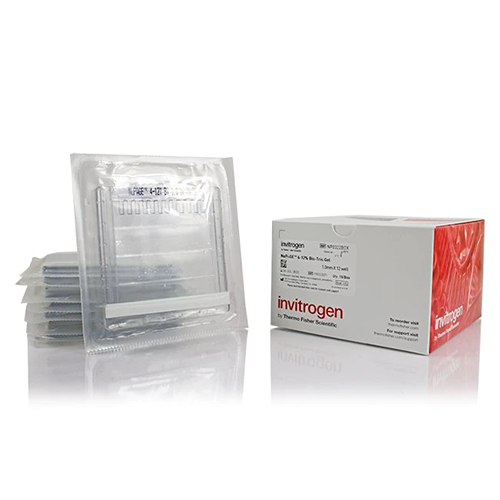 6176. MIDIGEL DE PROTEINAS, BIS-TRIS 4-12% 1.00MM, 10 POCILLOS - INVITROGEN