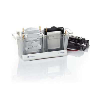 21109. SET DE MODULO DE FILTRO Y TANQUE MINI GEL - THERMO SCIENTIFIC