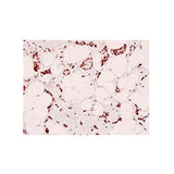 21867. PHOSPHO-CREB (SER129) POLYCLONAL ANTIBODY 100UL - INVITROGEN