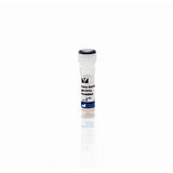 15575. HORSE ANTI-MOUSE IGG ANTIBODY (H+L) PEROXIDASE 1MG - VECTOR