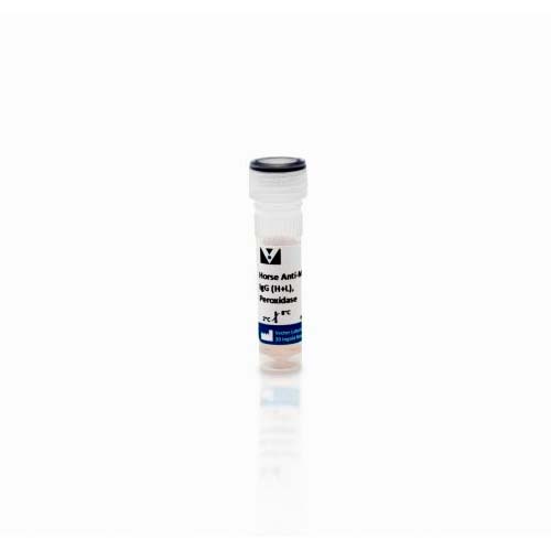 15575. HORSE ANTI-MOUSE IGG ANTIBODY (H+L) PEROXIDASE 1MG - VECTOR