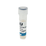 5293. GOAT ANTI-RAT IGG ANTIBODY (H+L) PEROXIDASE 1MG - VECTOR