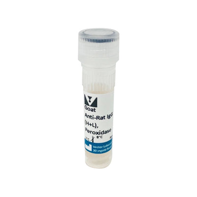 5293. GOAT ANTI-RAT IGG ANTIBODY (H+L) PEROXIDASE 1MG - VECTOR