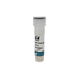 6466. HORSE ANTI-GOAT IGG ANTIBODY (H+L) PEROXIDASE 1MG - VECTOR