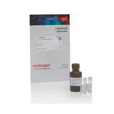 21885. ADNDS 1X, ALTA SENSIBILIDAD - INVITROGEN