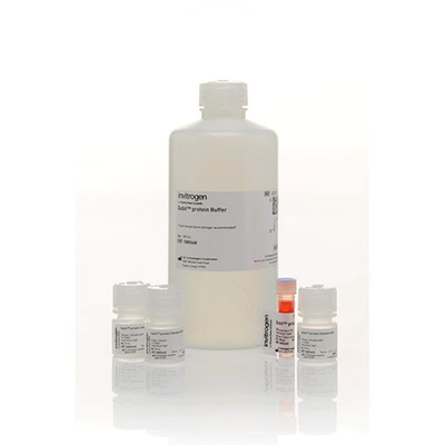 53483. KIT DE ENSAYO HS DE ADNBC 1X QUBIT 100 ENSAYOS - INVITROGEN
