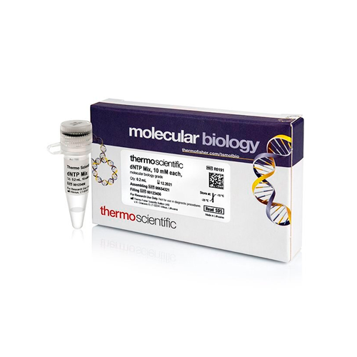 19985. MEZCLA DE DNTP (10MM CADA UNO) 0.2ML - THERMO SCIENTIFIC