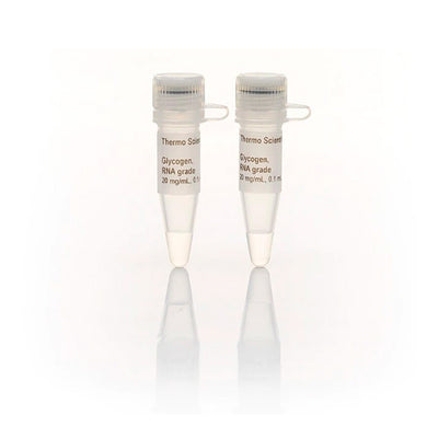 11317.GLUCOGENO GRADO ARN 2X0.1ML - THERMO SCIENTIFIC
