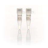 11317.GLUCOGENO GRADO ARN 2X0.1ML - THERMO SCIENTIFIC