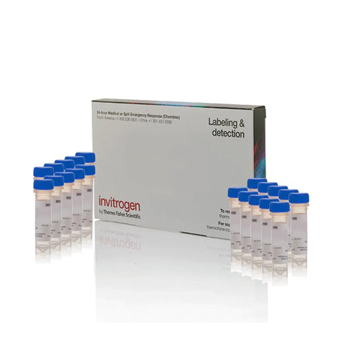 53535. ACETOXIMETIL ESTER SNARF -5F 5-(Y-6)-ACIDO CARBOXILICO ACETATO 20 X 50UG - INVITROGEN