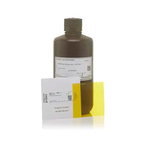 22724. SYBR SAFE DNA GEL STAIN IN 0.5X TBE 1LT INVITROGEN