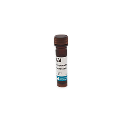 11877. STREPTAVIDIN FLUORESCEIN 1MG - VECTOR