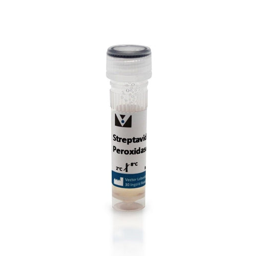 5305. STREPTAVIDIN, PEROXIDASE (CONCENTRATE, FOR IHC 1MG - VECTOR