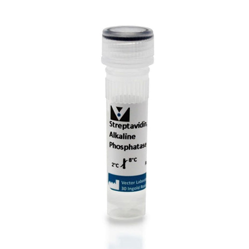 5307. STREPTAVIDIN, ALKALINE PHOSPHATASE 1ML - VECTOR