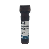 5309. STREPTAVIDIN, DYLIGHT 594 1MG - VECTOR