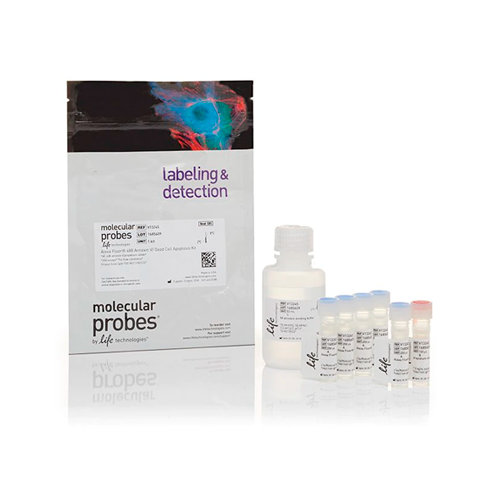 52852. DEAD CELL APOPTOSIS KIT WITH ANNEXIN V ALEXA FLUOR 488 & PROPIDIUM IODIDE (PI), 250 ASSAYS - MOLECULAR PROBES