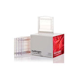 21894. WEDGE WELL 4-20% TRIS-GLYCINE 1.0MM MINI PROTEIN GELS, 15-WELLS C/10 - NOVEX