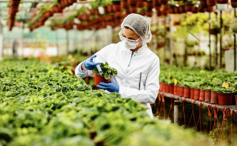 Química y agricultura: ¿Cómo los fertilizantes están cambiando con la crisis climática?