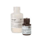 27357. FOXP3/CONCENTRADO Y DILUYENTE DE PERMEABILIZACION/FIJACION C/FACTOR DE TRANSCRIPCION KIT INVITROGEN