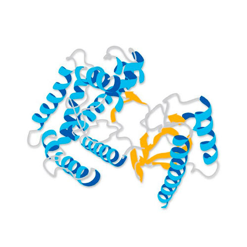 51797. FACTOR DE CRECIMIENTO EPIDERMICO (EGF) RECOMBINANTE HUMANO 100UG - MERCK