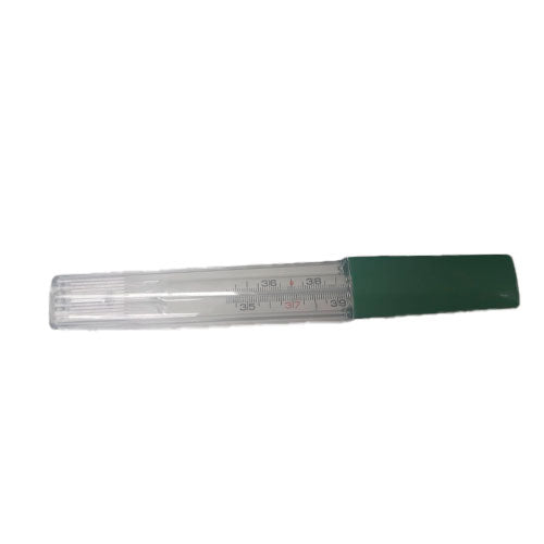 52275. TERMOMETRO CLINICO +35C/+42°C - PHYWE